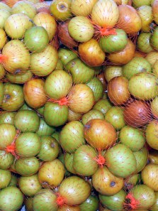 Ber vs jamun: Which summer fruit should you choose?