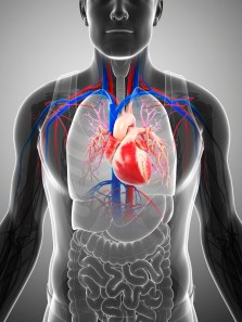 6 Heart-healthy breakfasts to start your day right