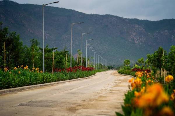 The university’s state-of-the-art 455-acre campus stands in the foothills of the imposing Vaibhar Giri hill, considered the seat of both Buddhism and Jainism