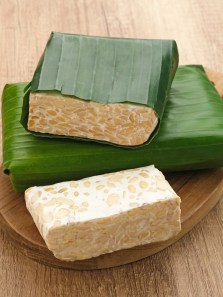 Tempeh, Tofu, Paneer: Which one’s best for you?