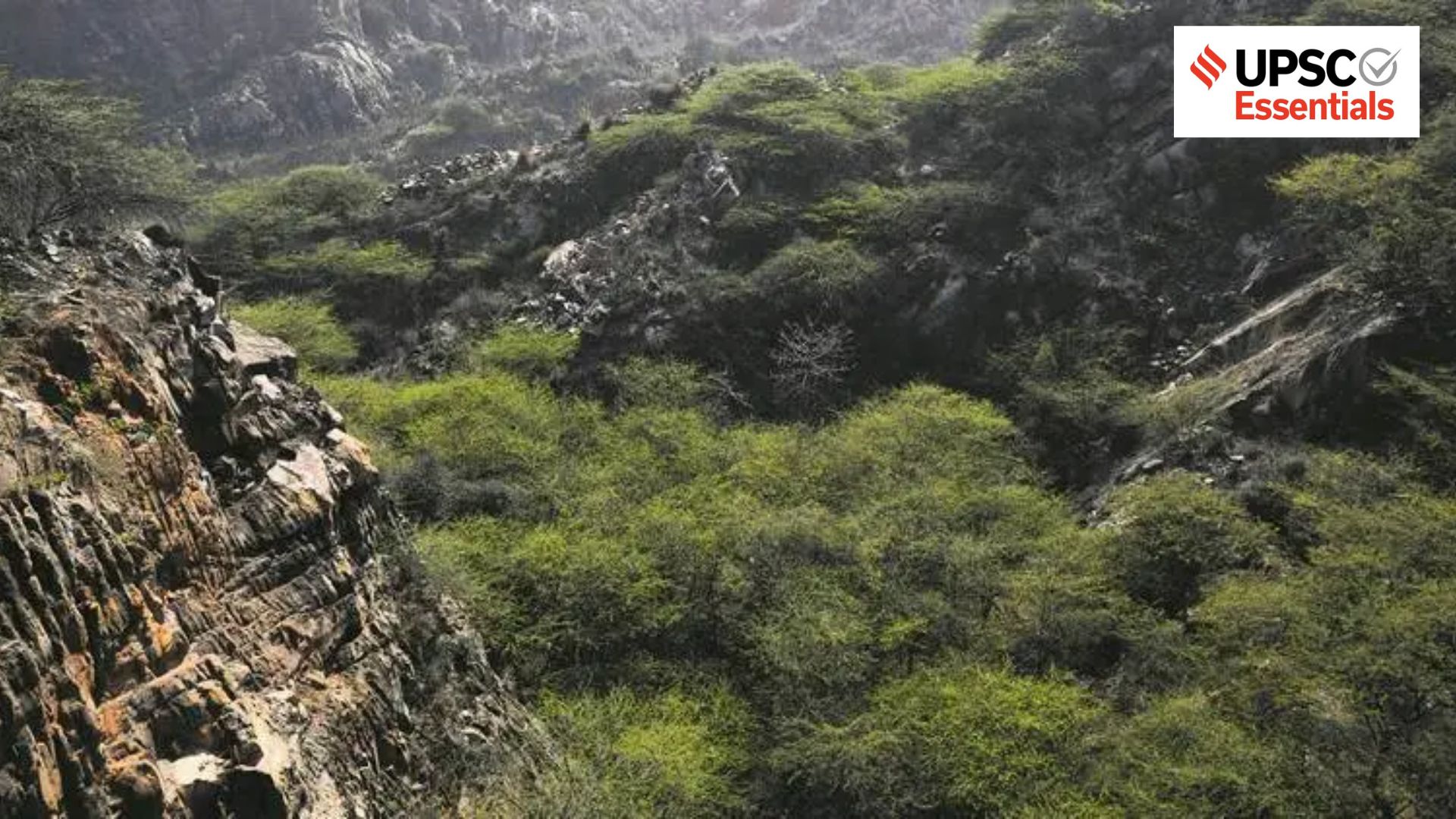 Environment day | How India pushes for ecological restoration