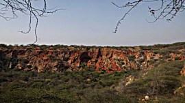 Aravalli Green Wall project, pm modi launches, indian express
