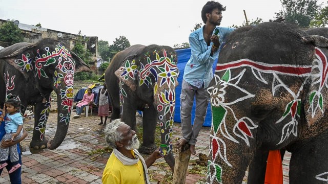 Artists paint elephants at Jagannath Temple in Ahmedabad’s Jamalpur area on Thursday. Express photo