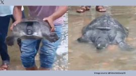 Authorities across the Northeast have been placed on high alert following intense rainfall on Friday, which the IMD linked to a depression over neighbouring Bangladesh (Image source: @himantabiswa/X)