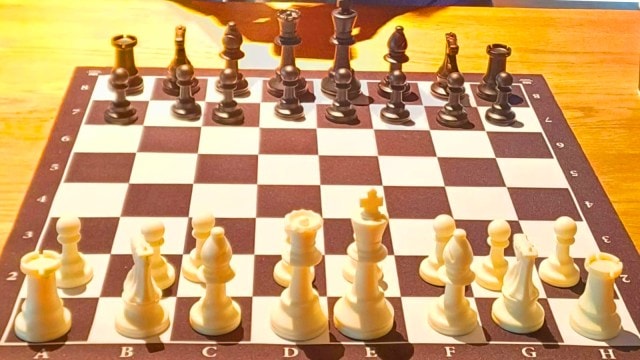 The All India Chess Federation (AICF) launched the Top National Players Stipend Scheme (TNPSS), under which they gave stipends ranging from ₹60,000 to ₹1,50,000.
