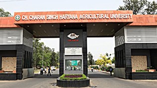 Chaudhary Charan Singh Haryana Agricultural University, haryana news, indian express