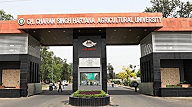 Chaudhary Charan Singh Haryana Agricultural University, haryana news, indian express