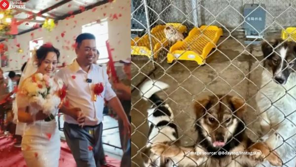 After three years together, the couple decided to marry, and chose the shelter itself as the wedding venue (Image source: @8dayssg/Instagram)