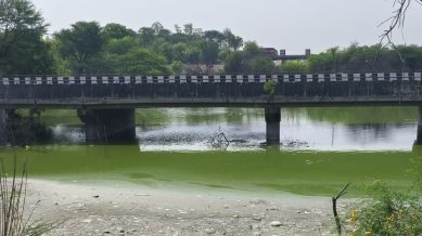 Delhi's Sahibi river