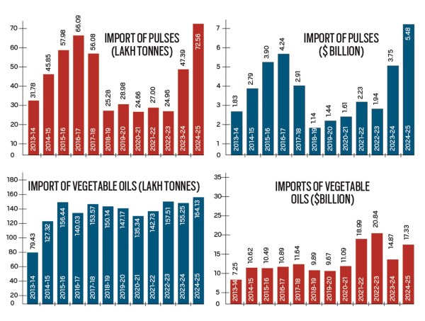 india's imports