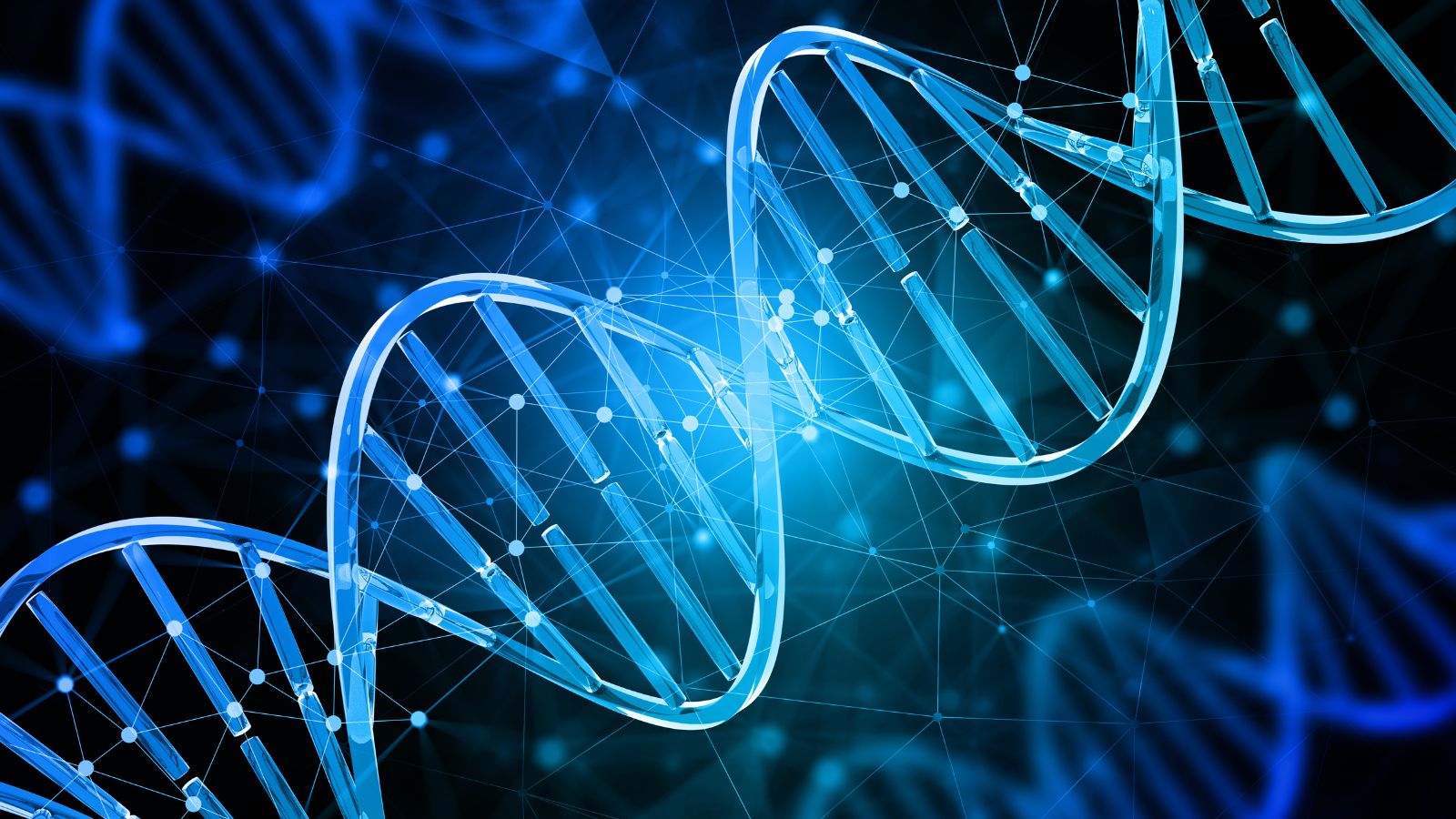 A drug for longer life? Scientists may have found a way to extend human lifespan