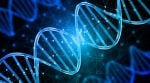 Priliminary results suggests that moderate doses of the drug helps increase lifespan, but we will have to wait to know more.