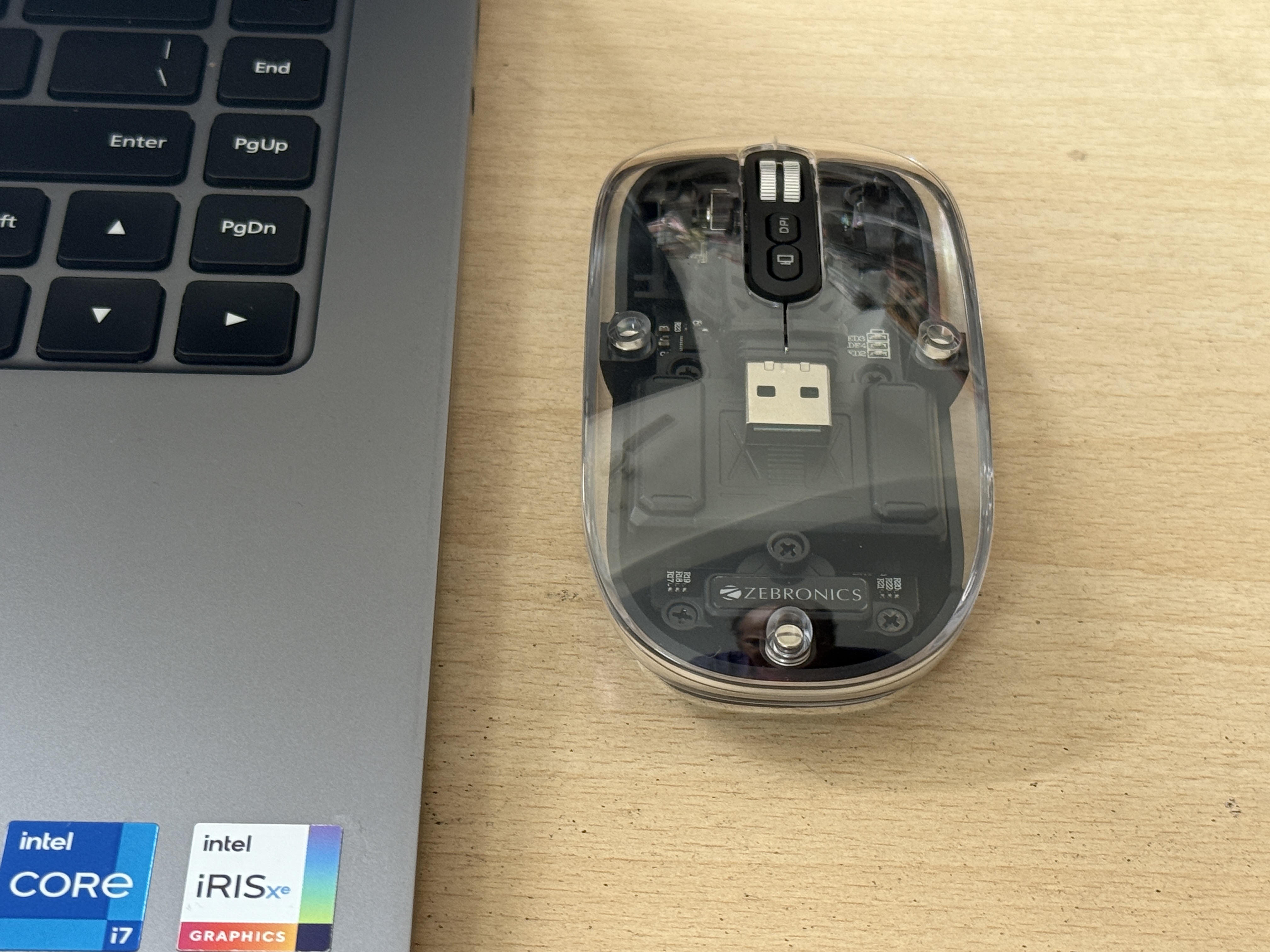 Zebronics Sheer Mouse