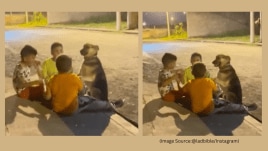 Three boys include a dog in their friend circle. (Image source: @ladbible/ Instagram)