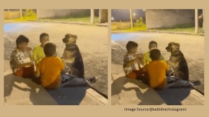 Three boys include a dog in their friend circle. (Image source: @ladbible/ Instagram)