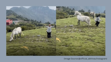 A horse kicked a woman who was dancing. (Image source: @official_abhinav/ Instagram)
