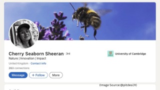 Ed Sheeran's wife, Cherry Seaborn Sheeran, has a LinkedIn profile that went viral on X. (Image source: @pitdesi/X)