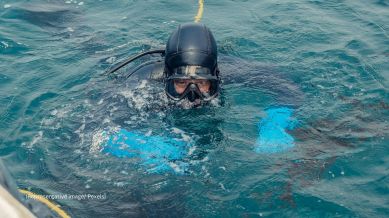The incident unfolded at Jumeirah Beach in Dubai on Friday, June 6 (Representative image/Pexels)