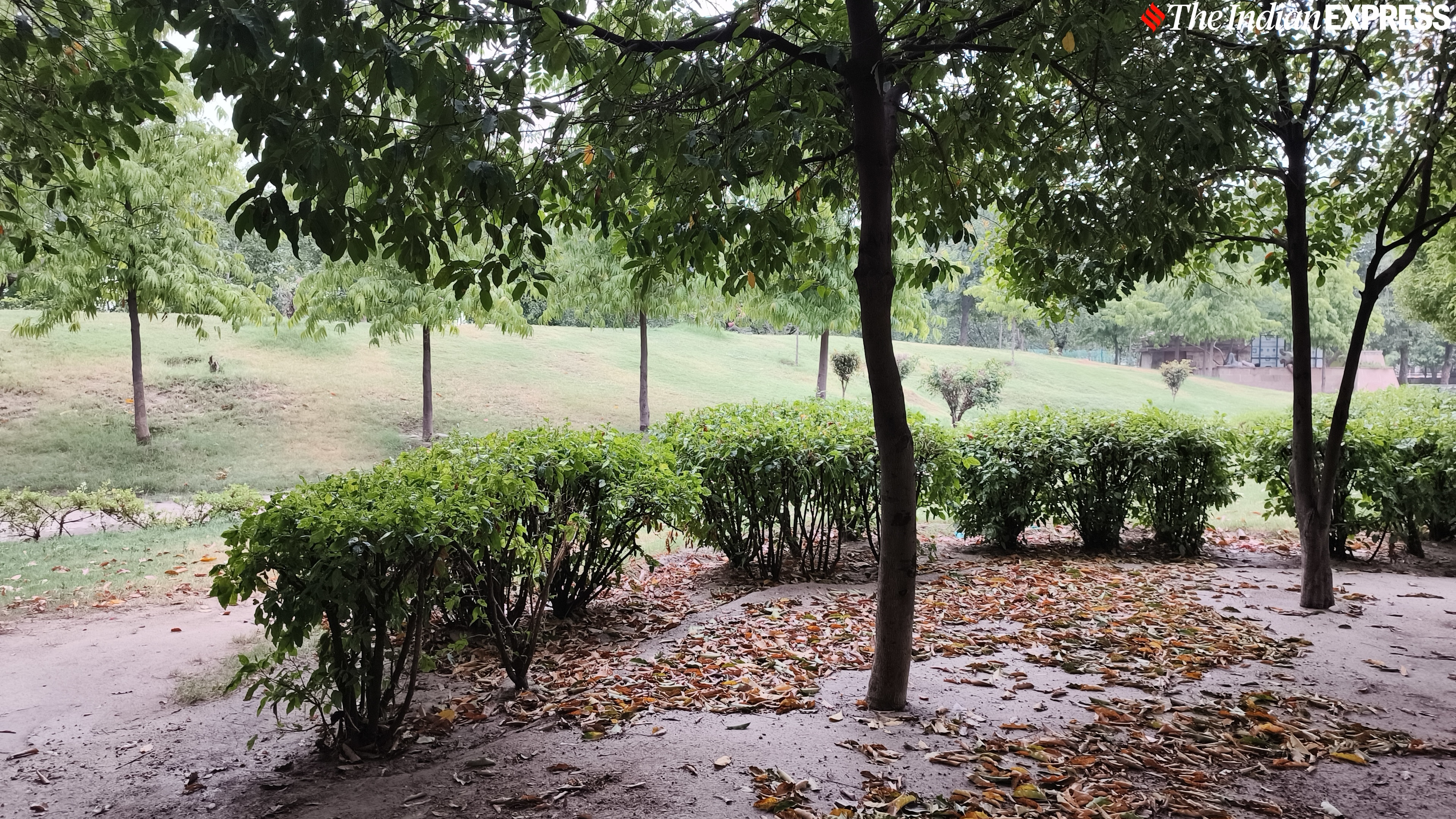 The HDR isn't the best, but it is good enough if you want to share pictures on social media.