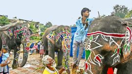 Ahmedabad rath yatra, rath yatra, Ahmedabad set for Rath Yatra, Amit Shah, Ahmedabad news, Gujarat news, Indian express, current affairs