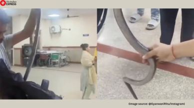 The report stated that the hospital team quickly admitted him for treatment and ensured the snake was safely secured before being rescued (Image source: @GyanwaniRitu/Instagram)