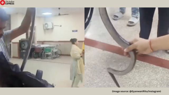 The report stated that the hospital team quickly admitted him for treatment and ensured the snake was safely secured before being rescued (Image source: @GyanwaniRitu/Instagram)