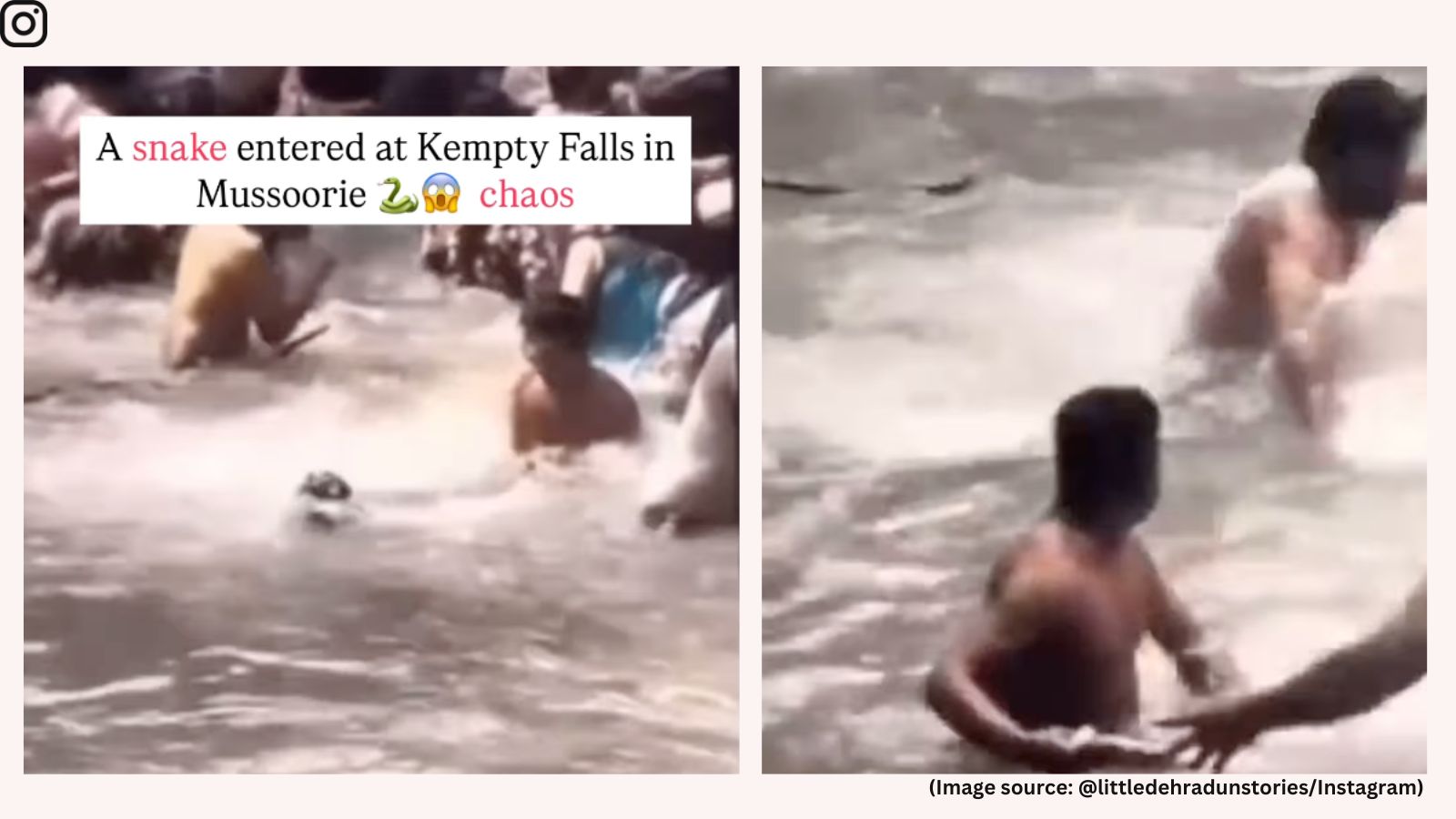 Watch: Snake slithers into crowded waterfall in Mussoorie, sparks panic among tourists Watch: Snake slithers into crowded waterfall in Mussoorie, sparks panic among tourists