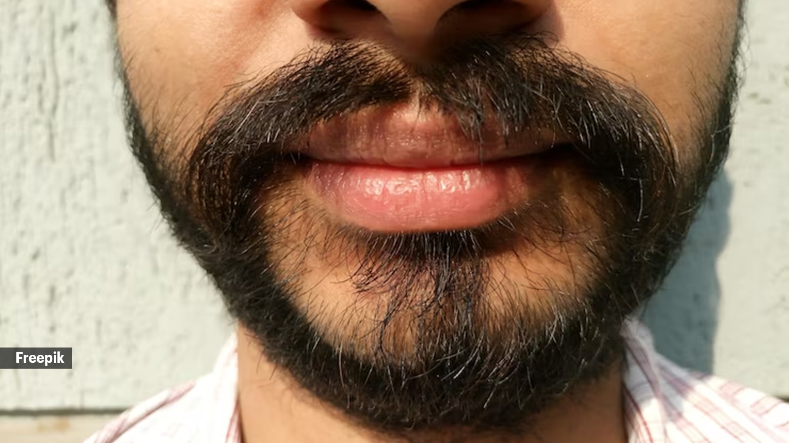 Beards and microbes: what the evidence shows