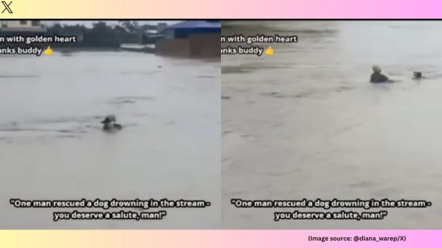 Manipur is grappling with severe flooding, as multiple rivers continue to flow above danger levels (Image source: @diana_wraep/X)