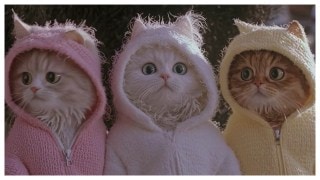 A screengrab from Midjourney’s announcement video for V1 (Credit: Midjourney)