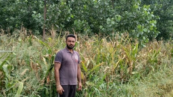 farming