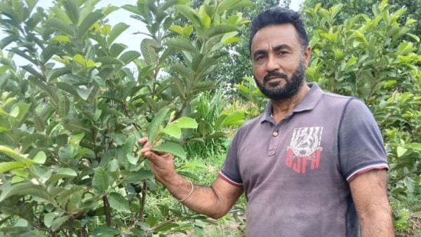 farming