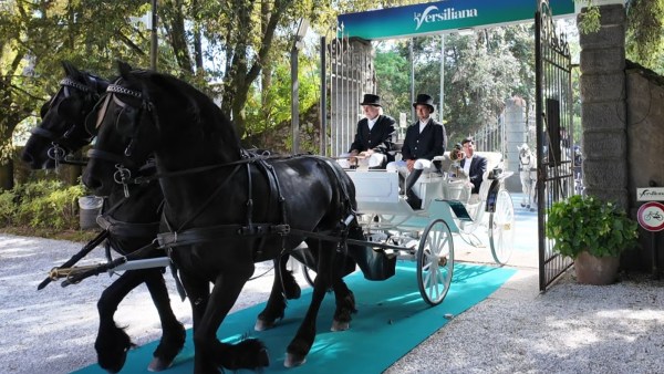 Anand and Oro brought to venue in horse-drawn carriage. (Special Arrangement/Niklesh Jain)