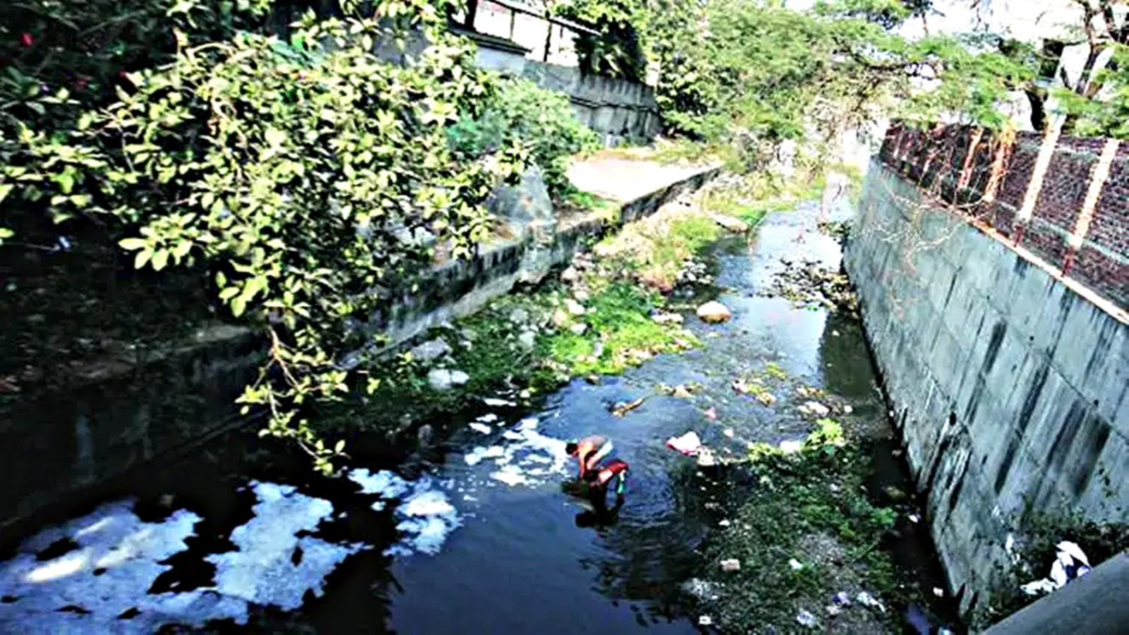 Pavana river pollution case