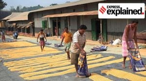 Explained: The cost of rising imports