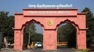 PAU, Seed sowing survey, PR-126 rice variety, Chandigarh