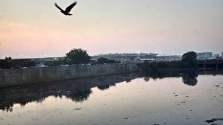 Mithi River is an 18.64-km seasonal river with residential slum pockets and industrial patches alongside it.