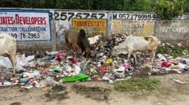 The garbage issue in Gurgaon has become a topic of discussion at a time when the city is set to host the national conference on urban local bodies on July 3 and 4 at Manesar.
