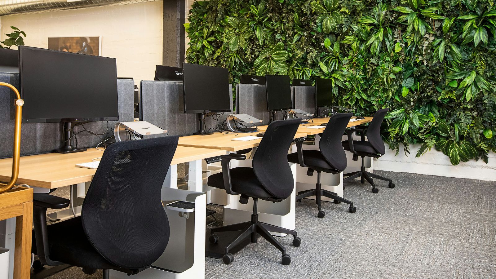 AI threat to entry-level jobs sparks fierce debate after Anthropic CEO’s warning
