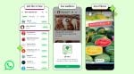 WhatsApp advertising update: The ads will come in the middle of status updates.