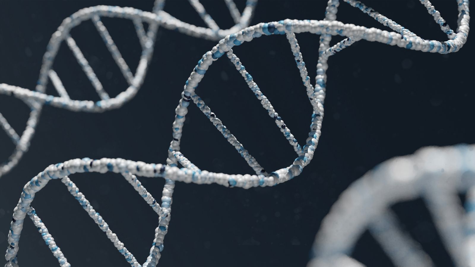 Scientists modify DNA to produce fertile mice from two male parents for first time