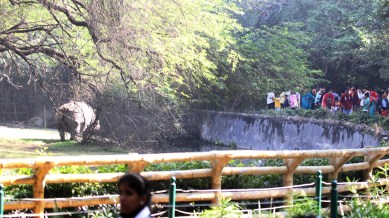 Delhi zoo to set up a biobank to preserve DNA of endangered species