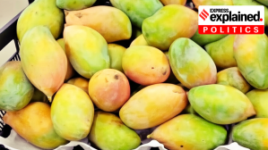 Why Andhra Pradesh & Karnataka are fighting over mangoes