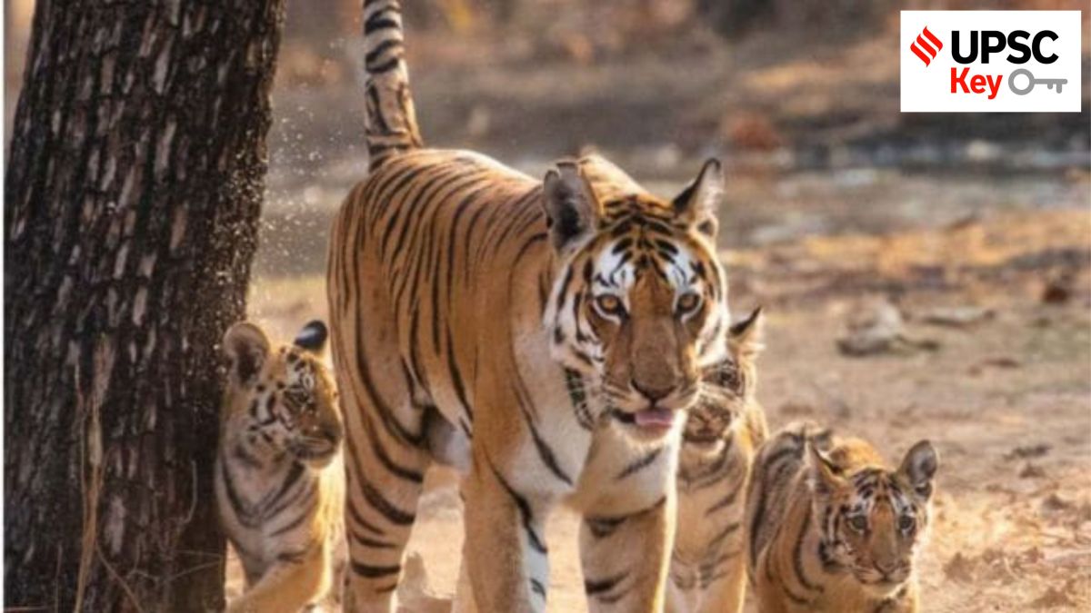 upsc civil services exam, Indian express for upsc, sarkari naukri, government jobs, ias, pcs, ifs, foreign relations, UPSC, upsc 2025, upsc mains 2025, upsc 2025 prelims, UPSC key, Upsc Prelims results, UPSC key terms, upsc news, upsc syllabus, UPSC KEY, Upsc Key terms, IAS current affairs, upsc Key Indian express, The Indian Express current Affairs, Is Indian Express Good for UPSC, upsc today news, upsc newspaper, Indian express today important news for upsc, Indian express monthly current affairs, What should I read in Indian Express for UPSC today, UPSC Answer Key, UPSC Online, IAS, IPS, upsc current affairs news, UPSC KEY News, UPSC Civil services news, UPSC Prelims 2025, UPSC Mains 2025, UPSC Mains 2025, UPSC Mains 2025, UPSC Prelims 2025, UPSC General Studies 1, UPSC General Studies II, UPSC General Studies III, UPSC General Studies IV, upsc, upsc mains 2025, UPSC mains answer writing, upsc GS paper 1, upsc mains GS paper 1, upsc geography, upsc history, gs paper 1, upsc, upsc mains 2025, UPSC mains answer writing, upsc gs paper 4, upsc mains gs paper 4, upsc ethics, gs paper 4, sarkari naukri, government jobs, Current events of national and international importance, History of India and Indian National Movement, Indian Heritage and Culture, History and Geography of the World and Society, Governance, Constitution, Polity, Social Justice and International relations, Technology, Economic Development, Bio diversity, Environment, Security and Disaster Management Ethics, Integrity and Aptitude, Indian Express UPSC Key, Upsc Indian Express, sarkari naukri, upsc CSE, UPSC Key June 23 2025, UPSC Main 2025, U.S. airstrikes on Iran, Critical Tiger Habitat, Nuclear Weapons