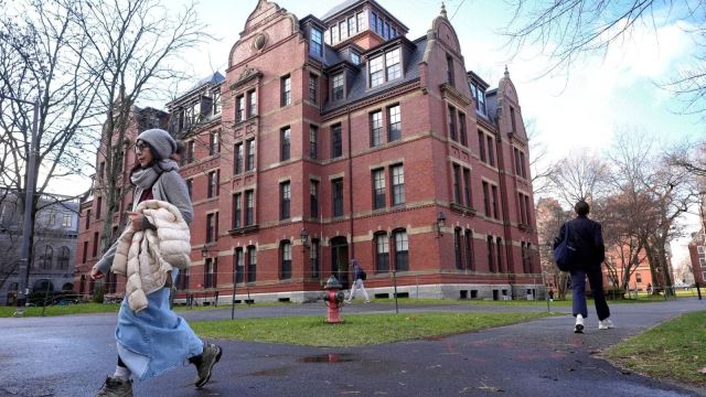 US Harvard- Trump