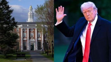 Trump Harvard
