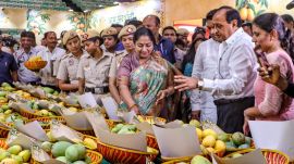 Delhi mango festival