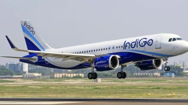 Indigo