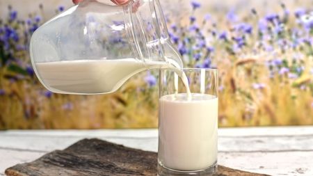 Milk health superfood Weight loss