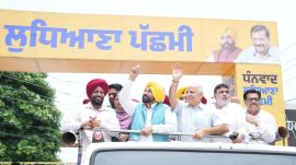 punjab mann